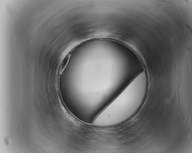 X0000099541342200805160740