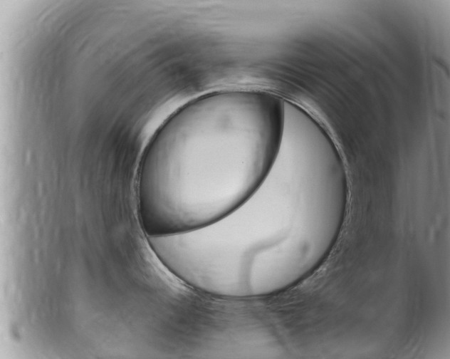 X0000099541344200805160740