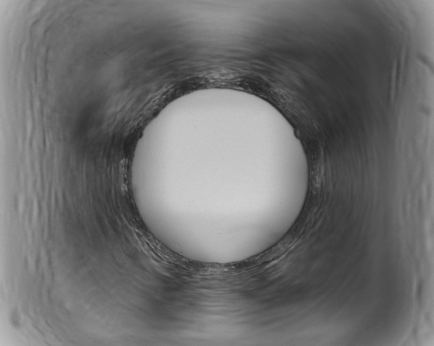 X0000099541346200805160739
