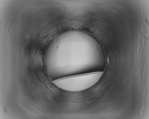 X0000099541347200805160739