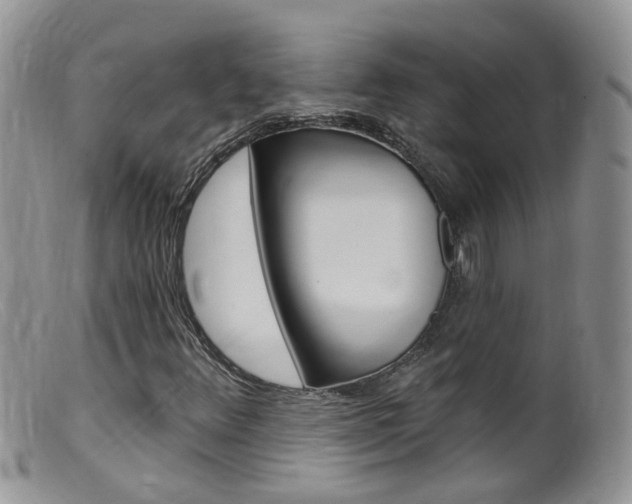 X0000099541348200805160739
