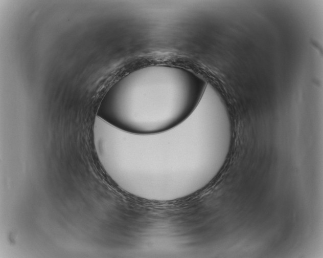 X0000099541349200805160739