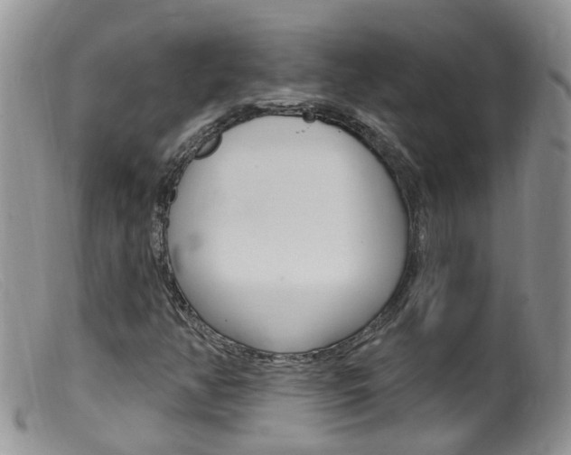 X0000099541350200805160739