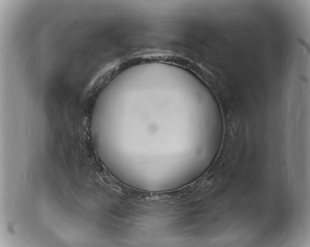 X0000099541351200805160739
