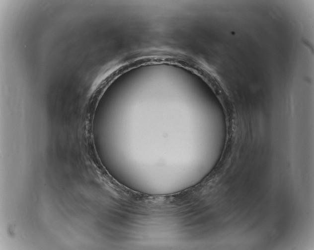 X0000099541352200805160739