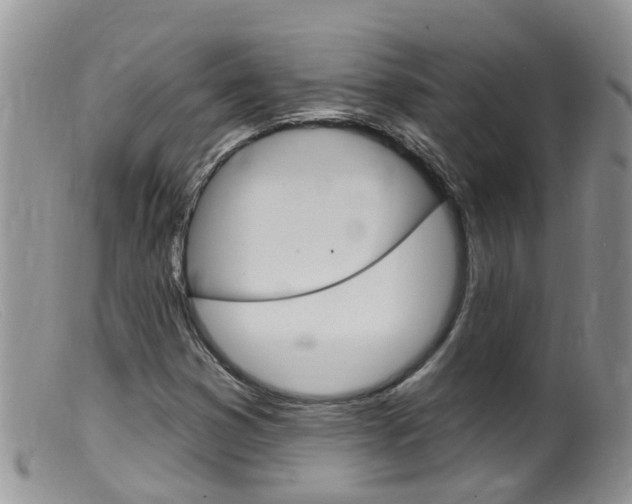 X0000099541353200805160739