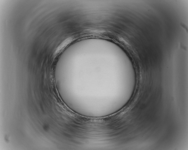 X0000099541354200805160739