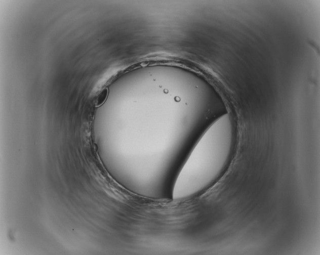 X0000099541355200805160739