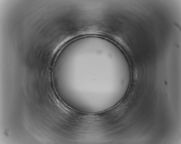 X0000099541356200805160739