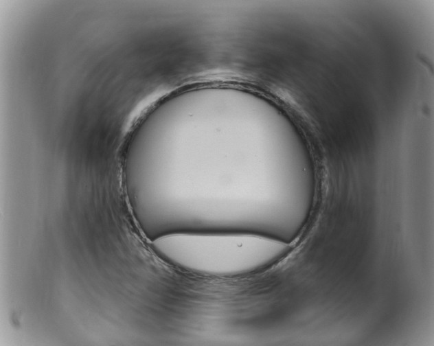 X0000099541358200805160739
