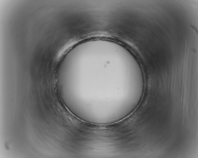 X0000099541359200805160739