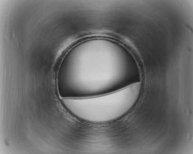 X0000099541360200805160739