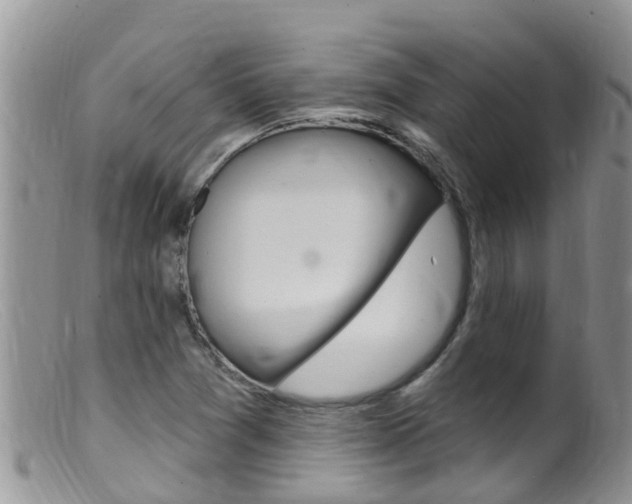 X0000099541361200805160739