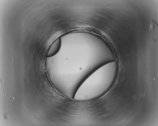 X0000099541362200805160739