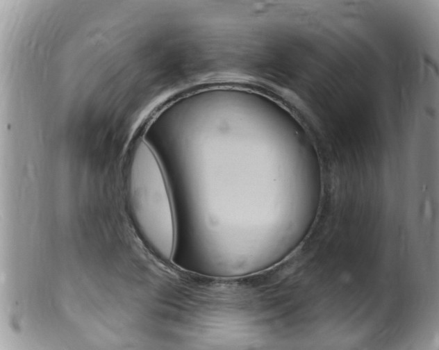 X0000099541364200805160738