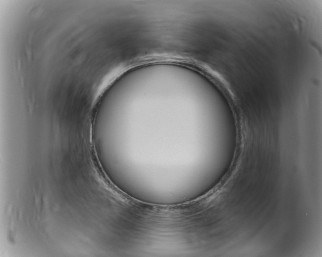 X0000099541365200805160738