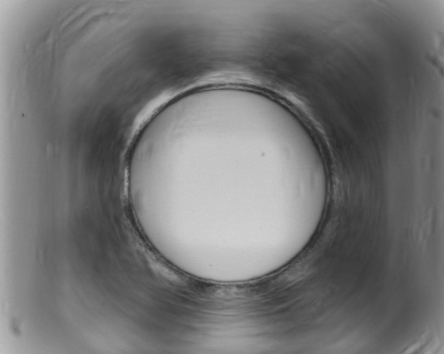 X0000099541366200805160738