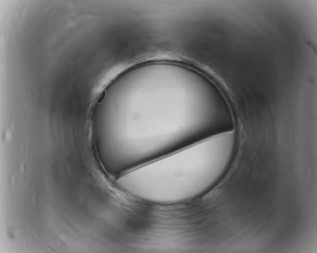X0000099541367200805160738