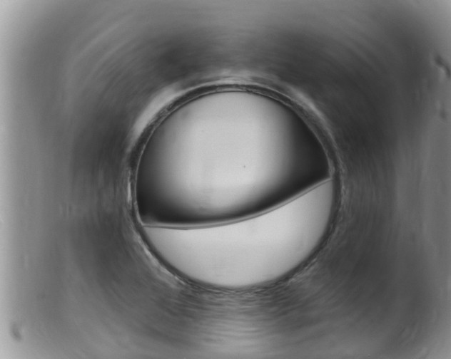 X0000099541368200805160738