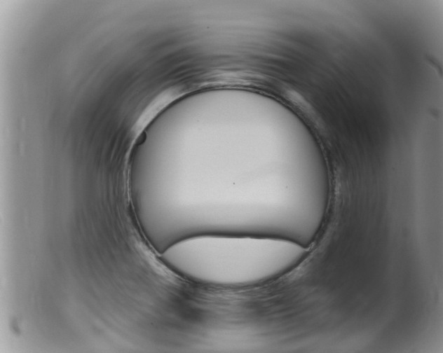X0000099541370200805160738