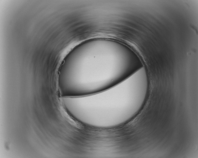 X0000099541371200805160738