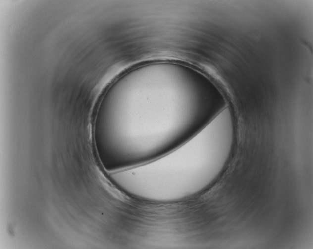 X0000099541372200805160738