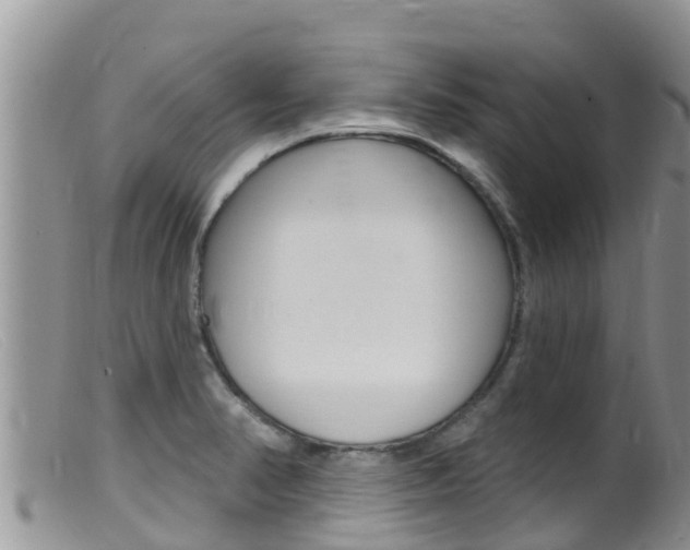 X0000099541374200805160738