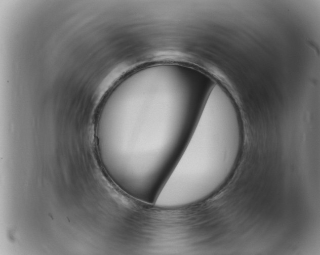 X0000099541376200805160738