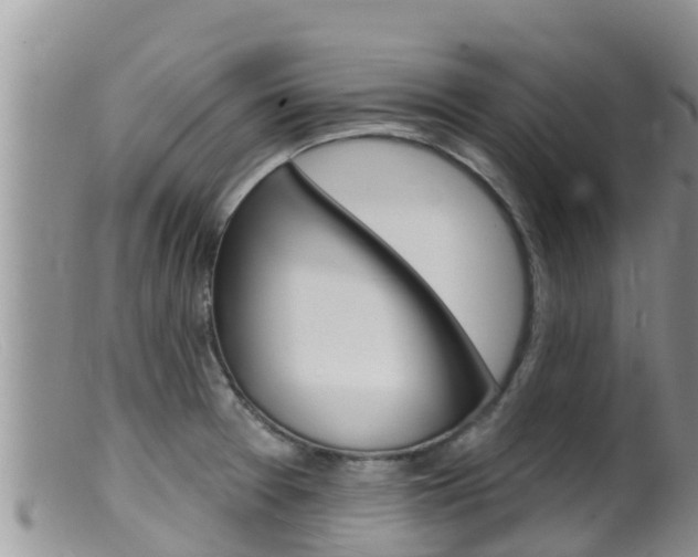X0000099541377200805160738