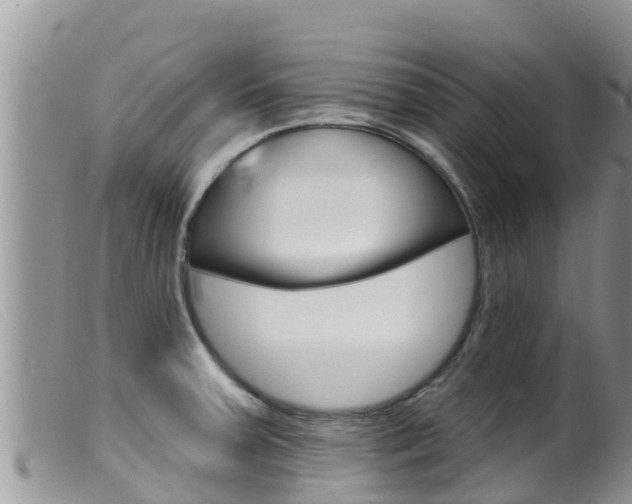 X0000099541379200805160738