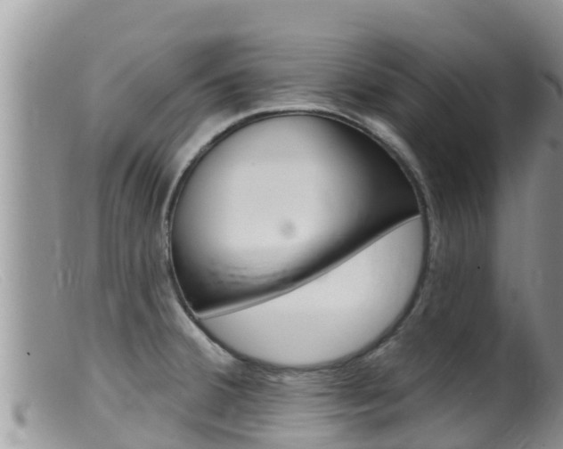 X0000099541380200805160738