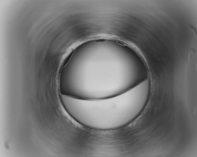 X0000099541381200805160738