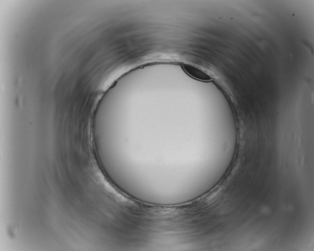 X0000099541382200805160738
