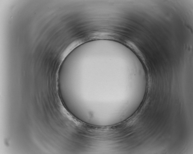X0000099541386200805160738