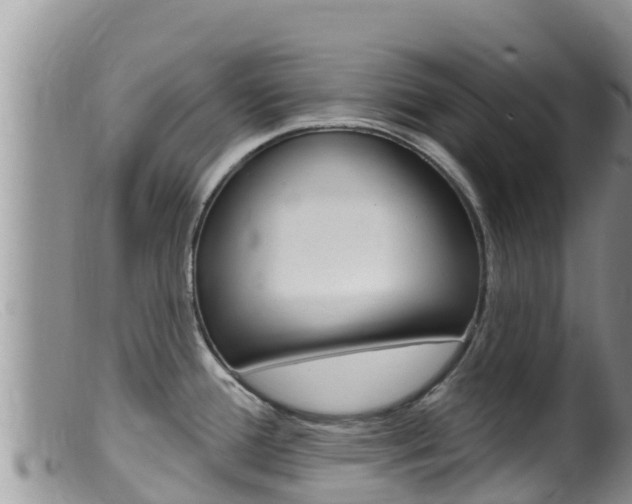 X0000099541388200805160738