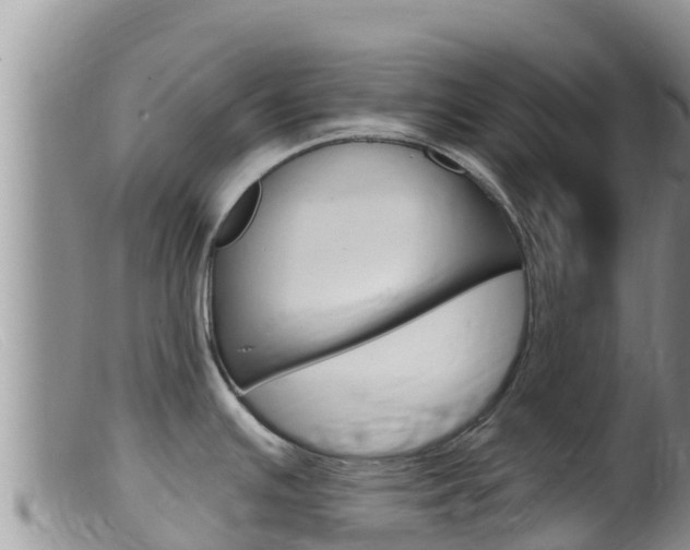 X0000099541391200805160738