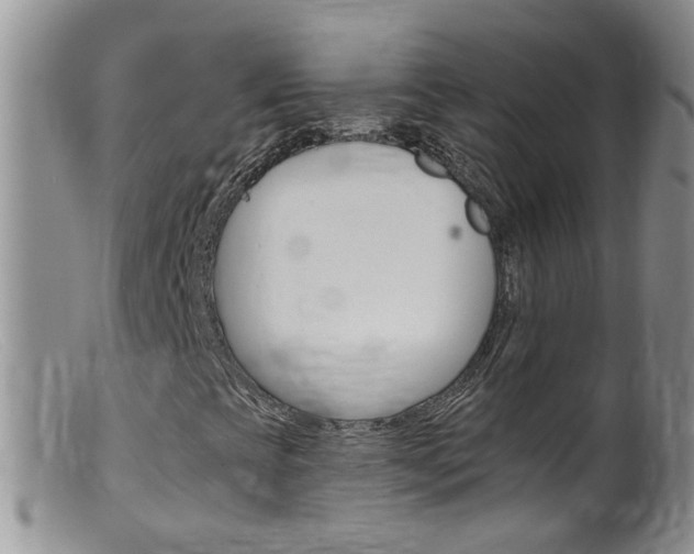 X0000099541393200805160737