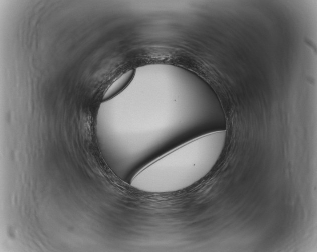 X0000099541394200805160737