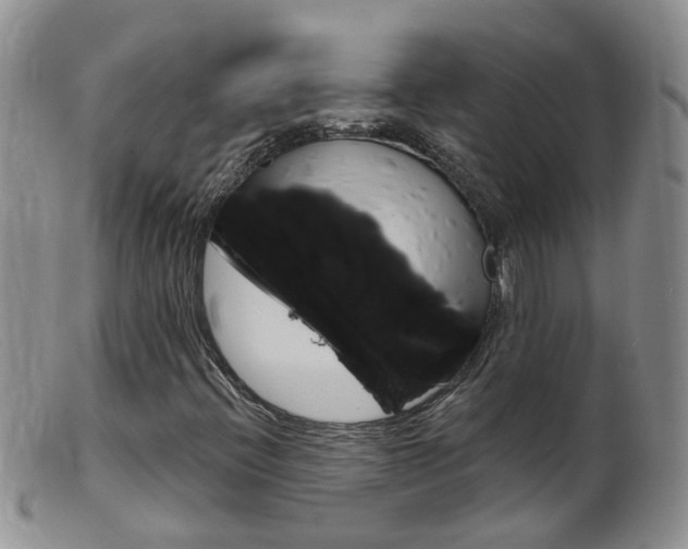 X0000099541396200805160737