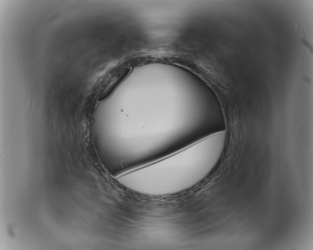 X0000099541398200805160738