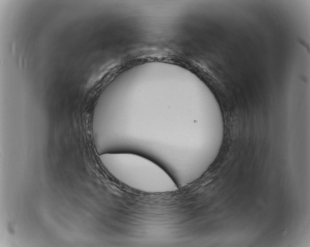 X0000099541399200805160738