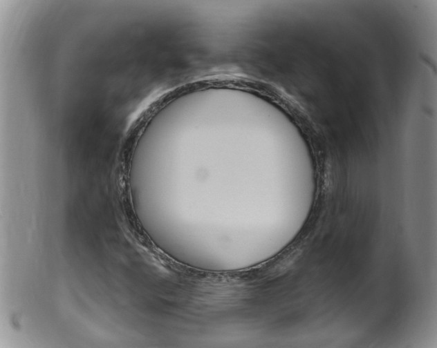 X0000099541400200805160738