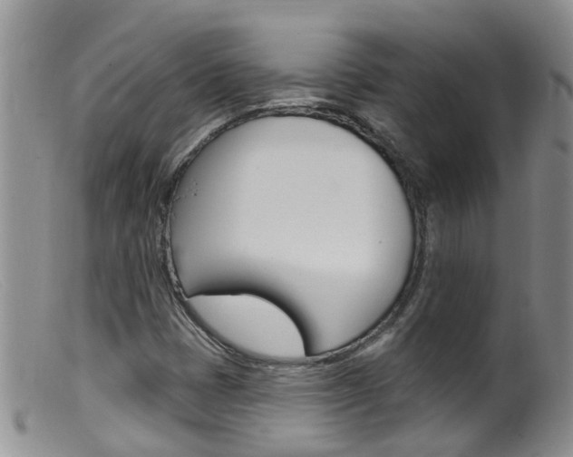 X0000099541401200805160738