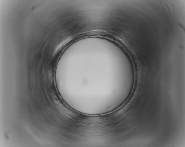 X0000099541402200805160738
