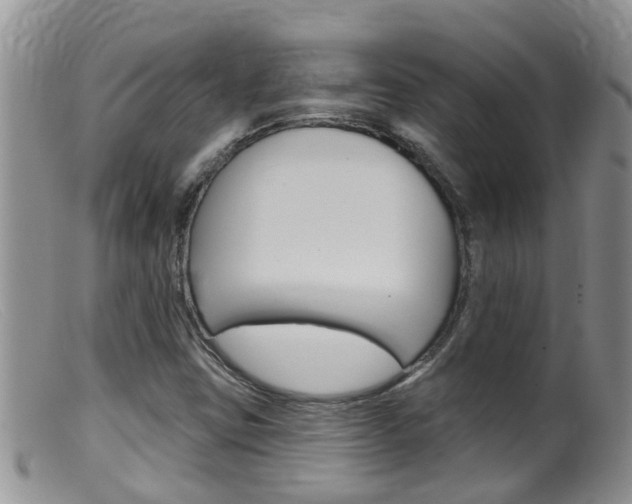 X0000099541403200805160738