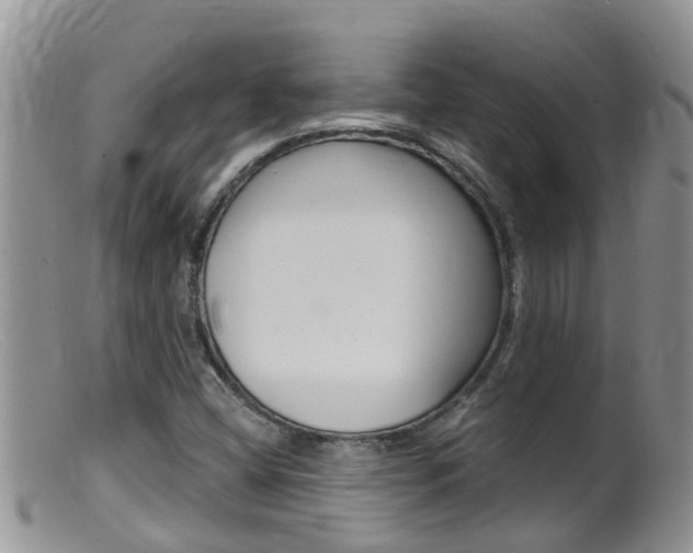 X0000099541404200805160738
