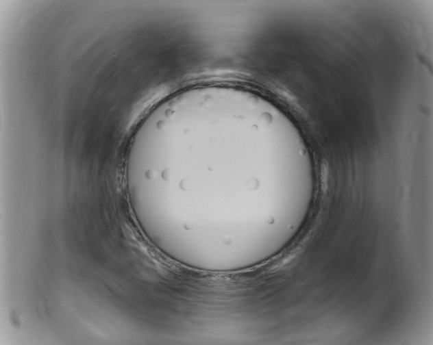 X0000099541405200805160738