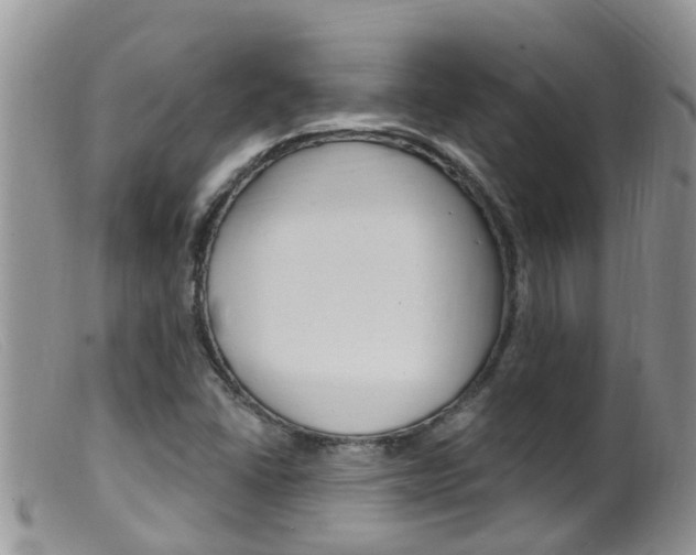 X0000099541406200805160738