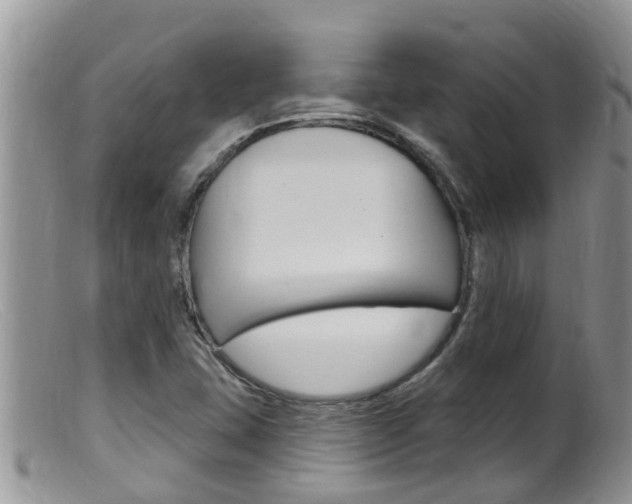 X0000099541407200805160738