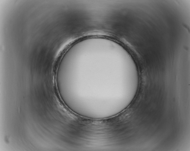 X0000099541408200805160738
